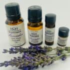 Lavender essential oils available from HvH Specialty Growers in Fairfield, California