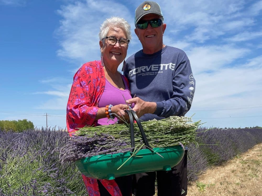 A couple holding a basket of freshly cut lavender at HvH Specialty Growers in Fairfield, California