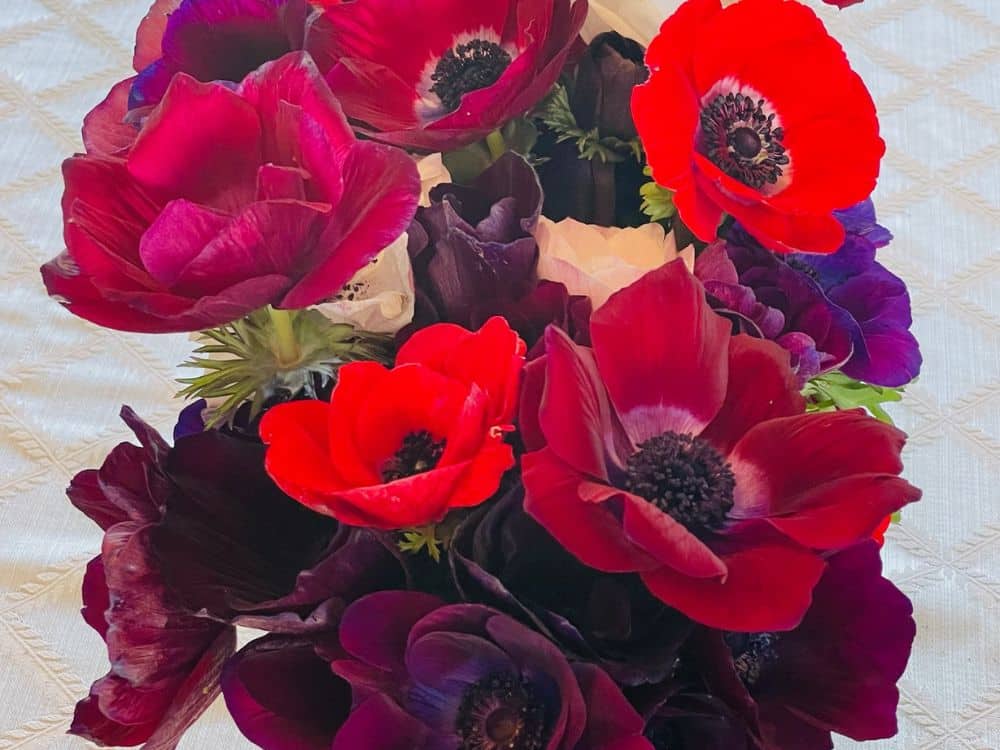 Custom flower arrangement designed by Tabletop Alchemist at HvH Specialty Growers in Fairfield, California