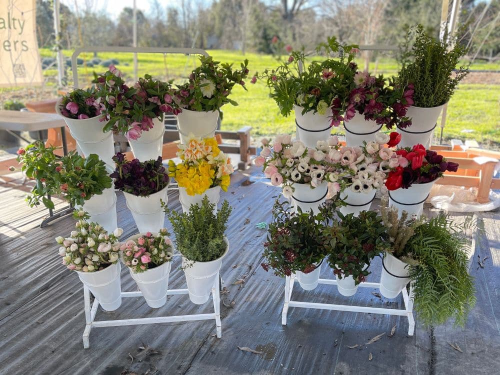 Flower bar at HvH Specialty Growers in Fairfield, California