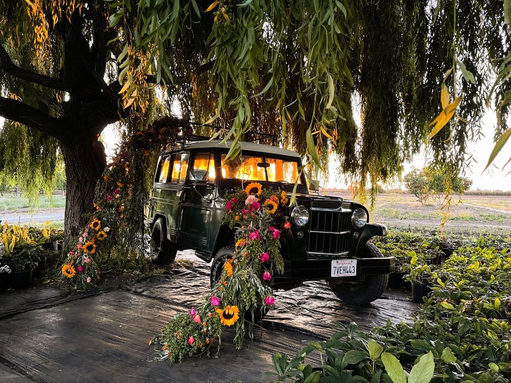 Jeep parked under the Weeping Willow with a custom flower arrangement by Tabletop Alchemist draped around it at HvH Specialty Growers in Fairfield, California